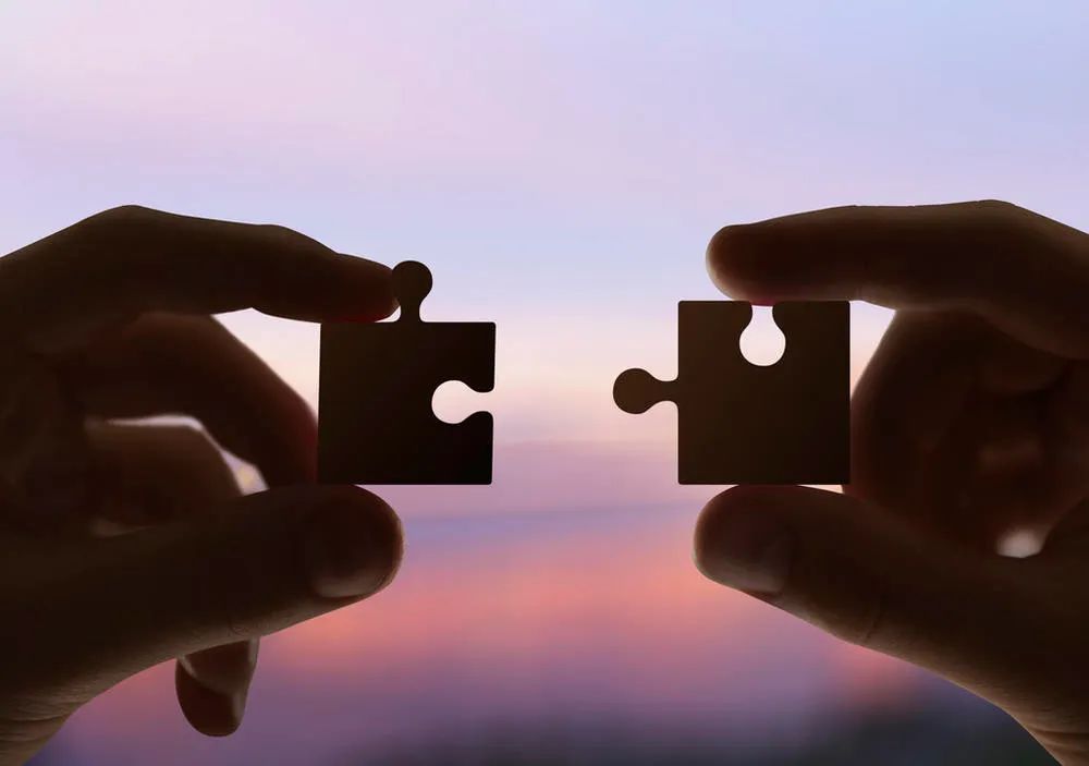 都灵队员集体罢训,引发团队危机 都灵队员集体罢训,引发团队危机