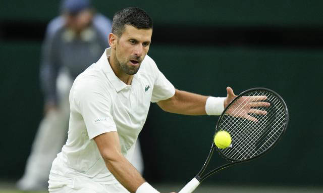 包含西班牙网球队横扫德国网球队，德约科维奇高光表现的词条