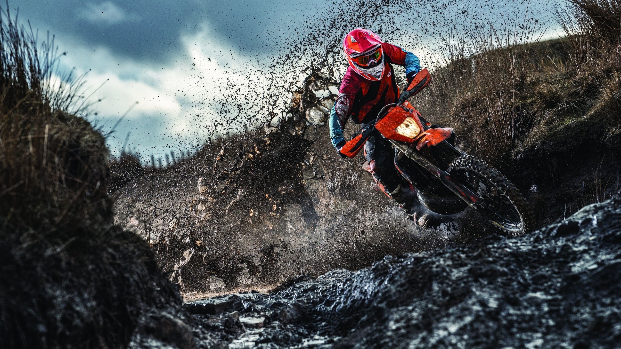 从安第斯山到波斯湾，德里赫特如何以智利式坚韧冲垮伊朗，在2026世界杯接管比赛